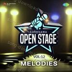 Open Stage Melodies - Vol 12 - Amit AB Song Download