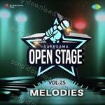 Open Stage Melodies - Vol 25 - Amit AB Song Download